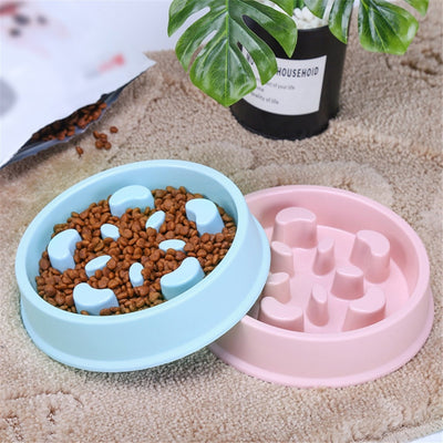 Anti-Choking Slow Feeder