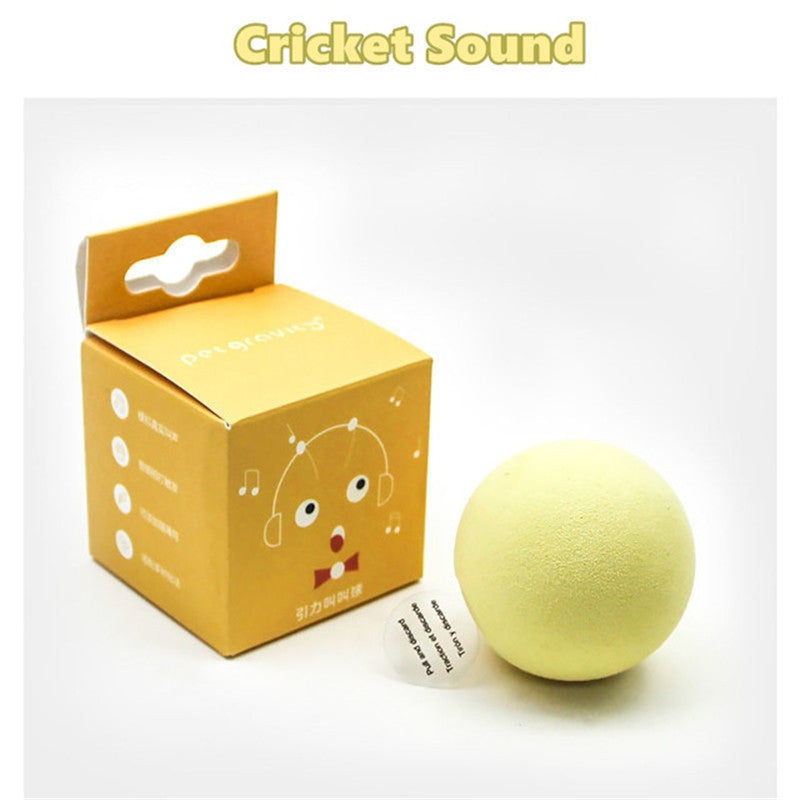 Interactive Cat Toy Ball | Touch-Activated Sound & Catnip Compatible